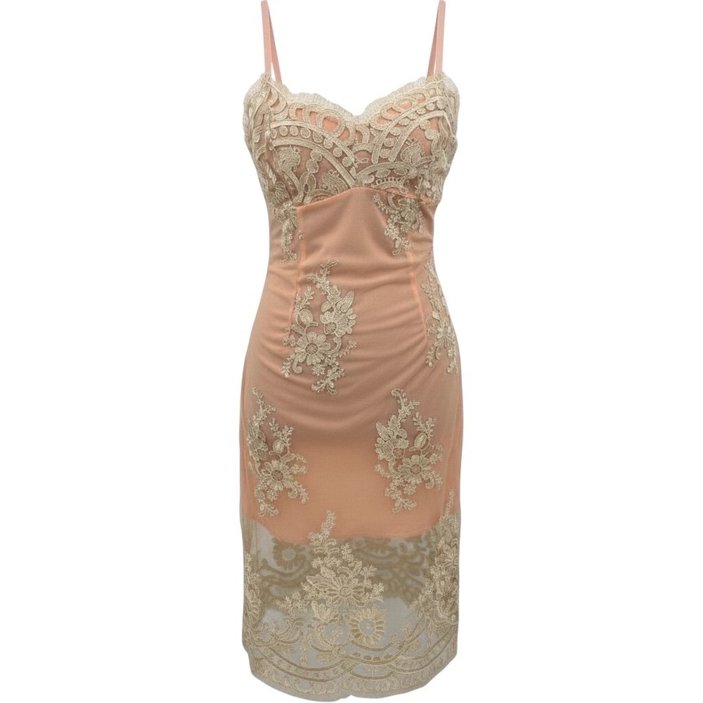 CBR Lace Dress Womens S Pink Lace Overlay‎ Sheer Hem Embroidered Wedding Guest